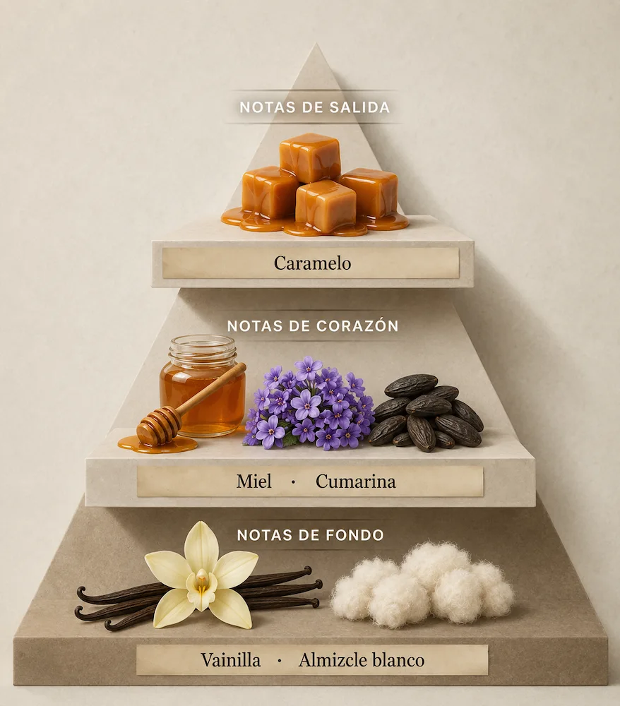 Pirámide olfativa Dulce de Luz — Luzaris