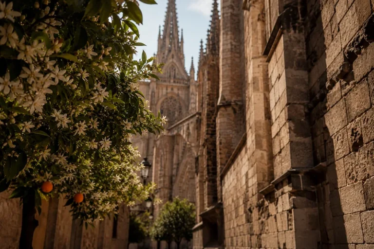 aromas del gotico por Luzaris